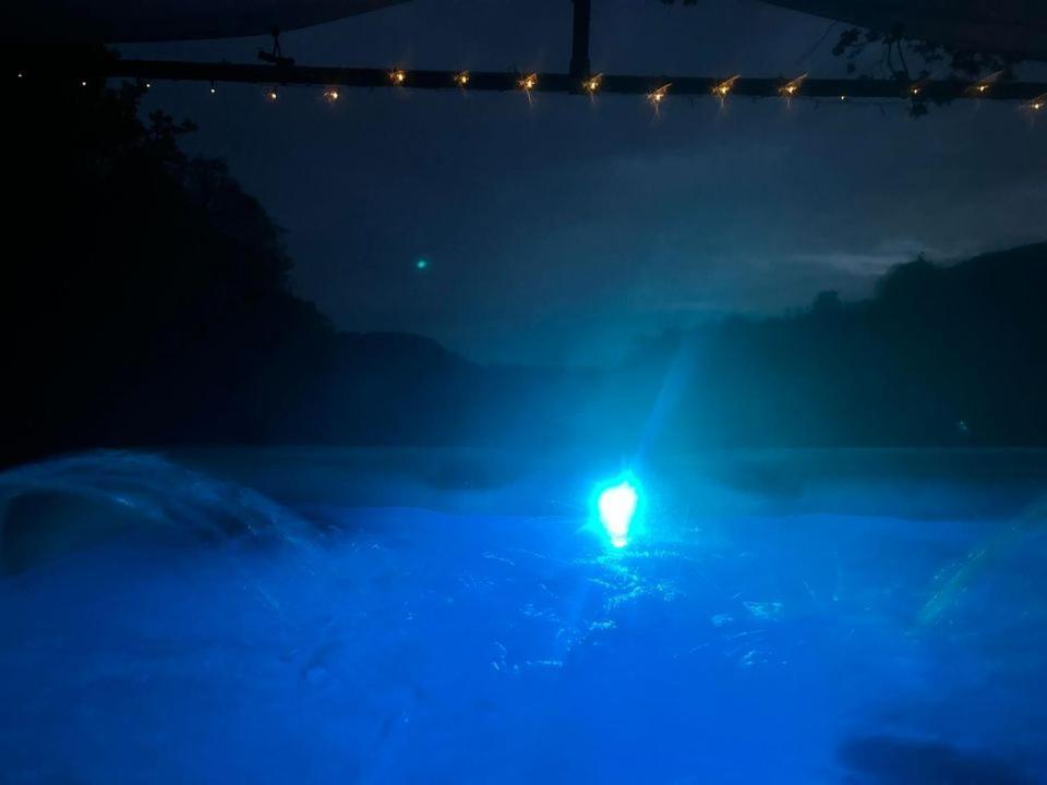 'Morris' The Shepherd'S Hut And Woodland Hot Tub Experience Καρμάρθεν Εξωτερικό φωτογραφία
