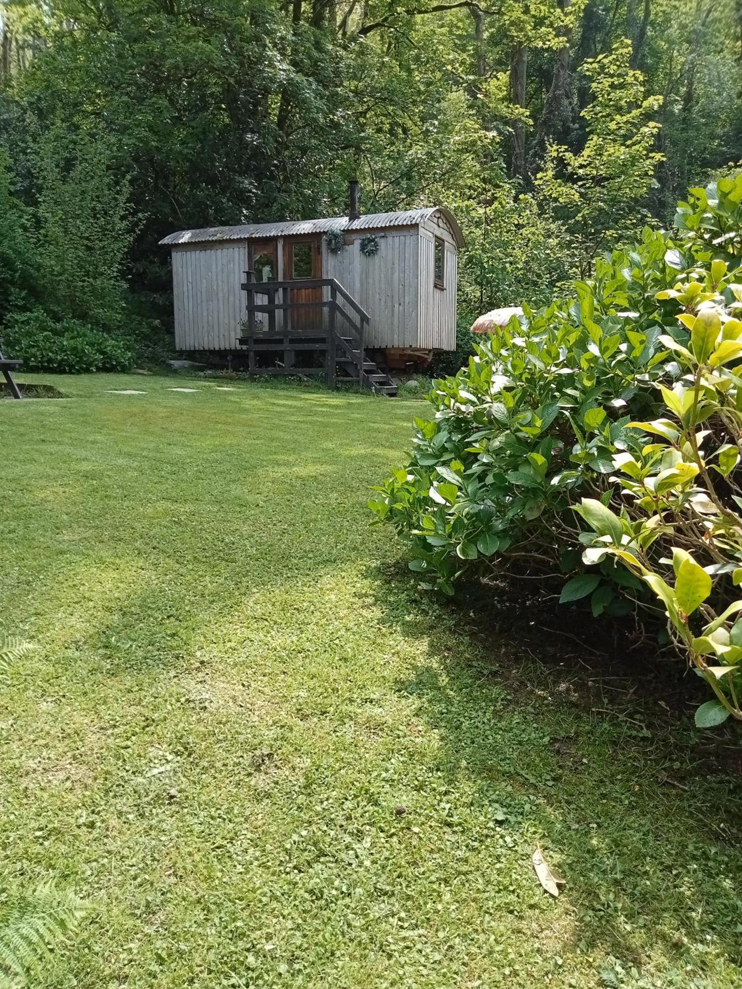 'Morris' The Shepherd'S Hut And Woodland Hot Tub Experience Καρμάρθεν Εξωτερικό φωτογραφία
