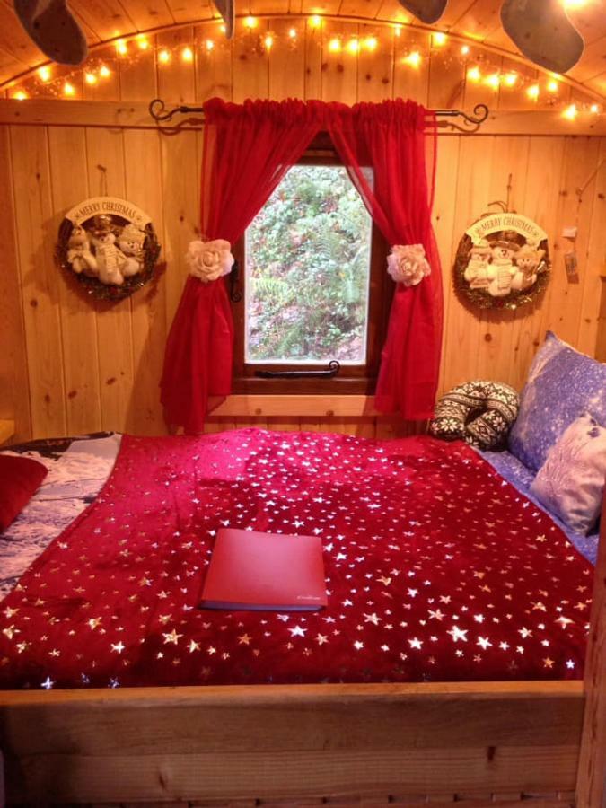 'Morris' The Shepherd'S Hut And Woodland Hot Tub Experience Καρμάρθεν Εξωτερικό φωτογραφία