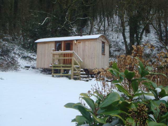 'Morris' The Shepherd'S Hut And Woodland Hot Tub Experience Καρμάρθεν Εξωτερικό φωτογραφία