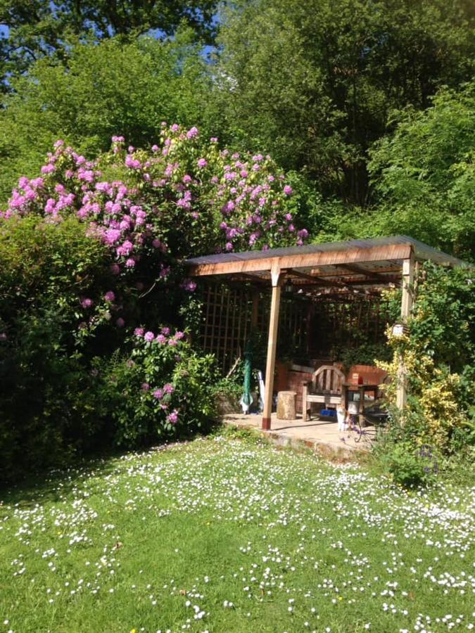 'Morris' The Shepherd'S Hut And Woodland Hot Tub Experience Καρμάρθεν Εξωτερικό φωτογραφία